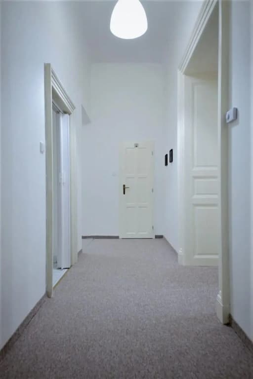 Aparthotel Wenceslas - photo 6