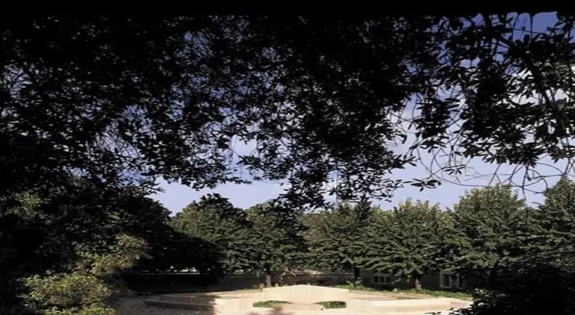 I Gigli della Montagna - photo 10