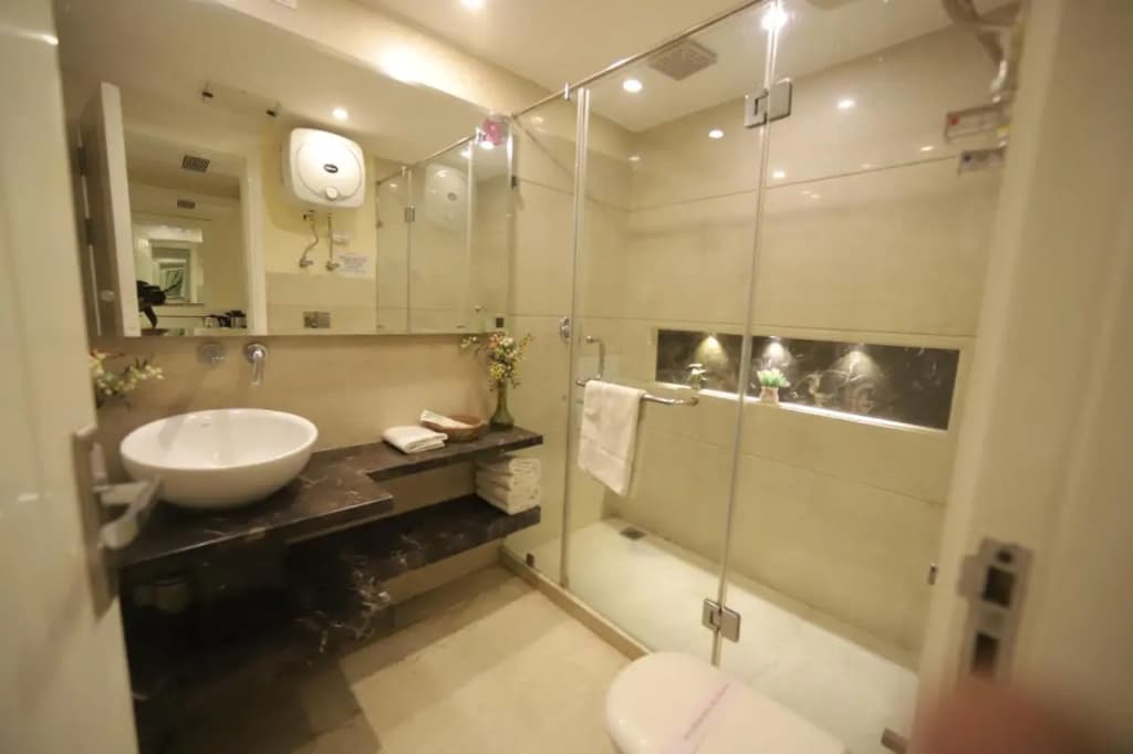 Hotel Picasso Naraina - photo 9