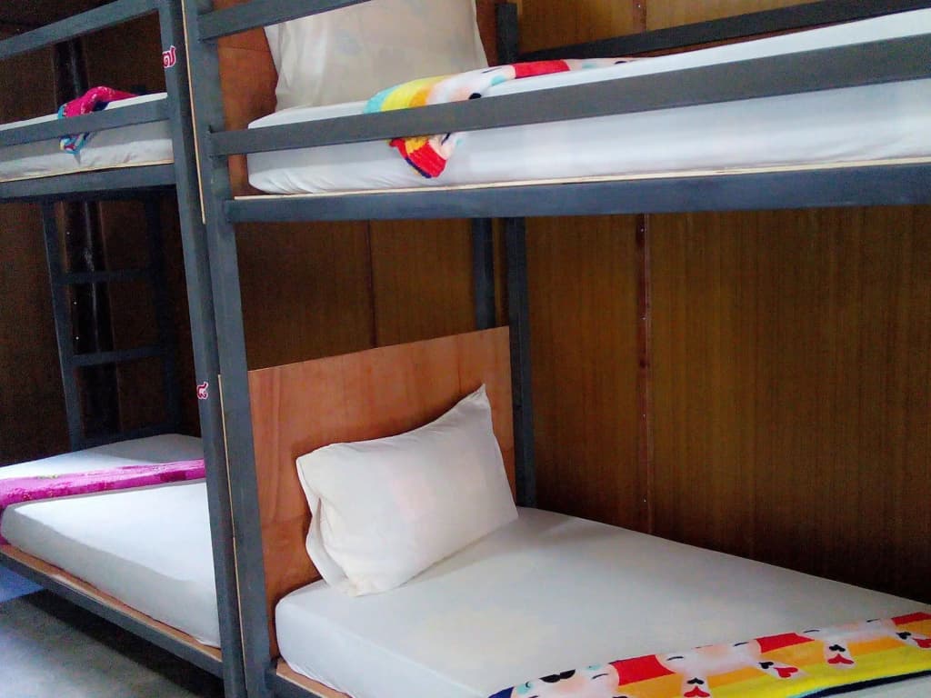 Funky Fish Hostel - photo 2