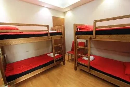 Grishashvili Street Hostel - photo 5