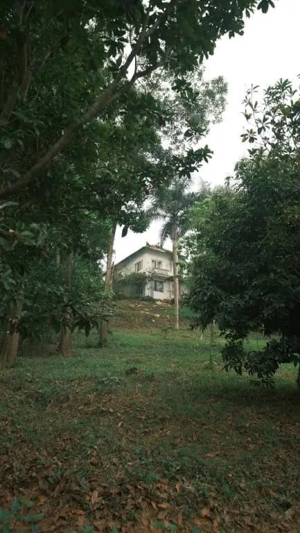 Yen Bai Resort - photo 4