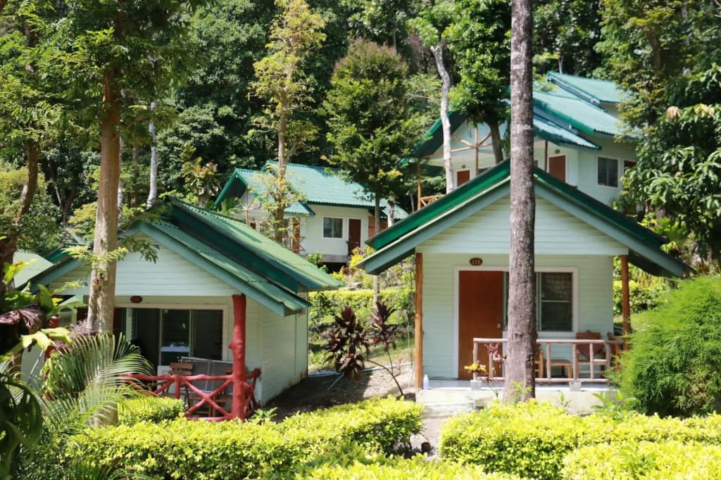 Mountain View Resort - photo 13
