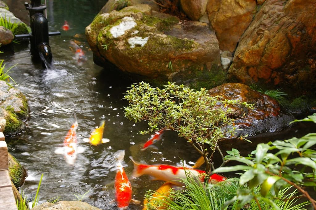 Ryokan Sawaya Honten - photo 23