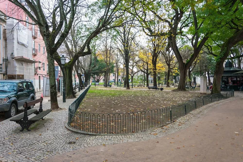 The Mulberry Tree Lisbon Hostel - photo 18