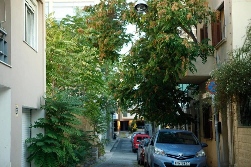 Cozy apartment with Acropolis view - photo 8