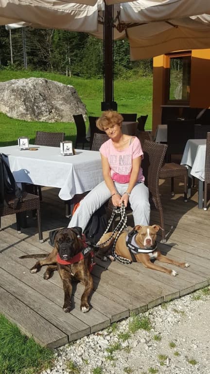 B&B Alle Betulle - photo 6