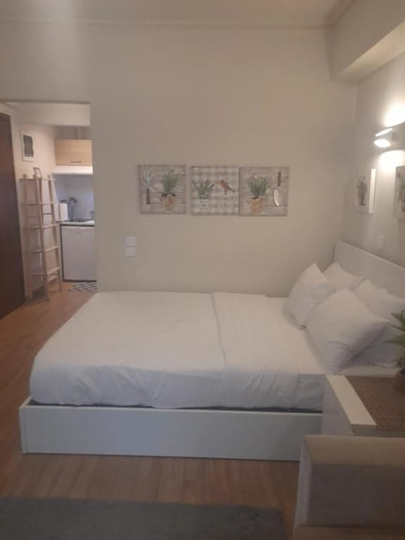 Studio Posh with garden in Kolonaki - photo 41
