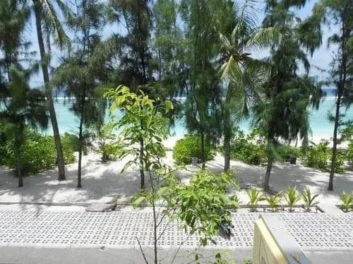 Loona Hotel - photo 18