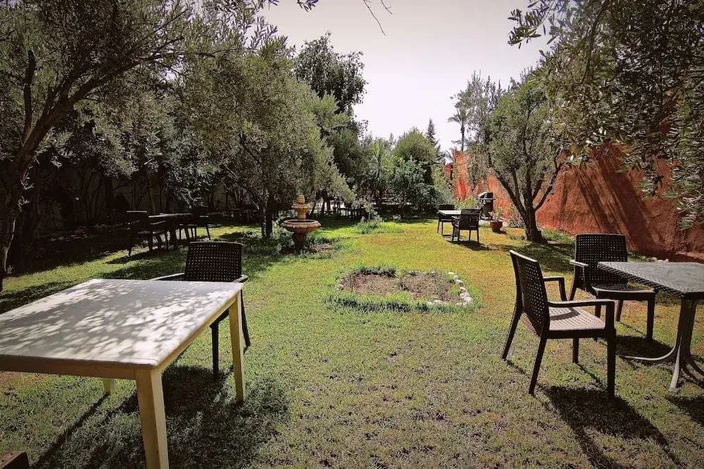 Palm Auberge - photo 14