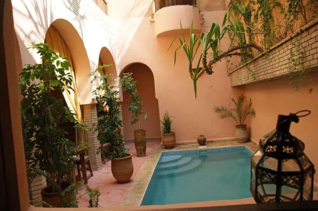 Riad Azenzer - photo 11