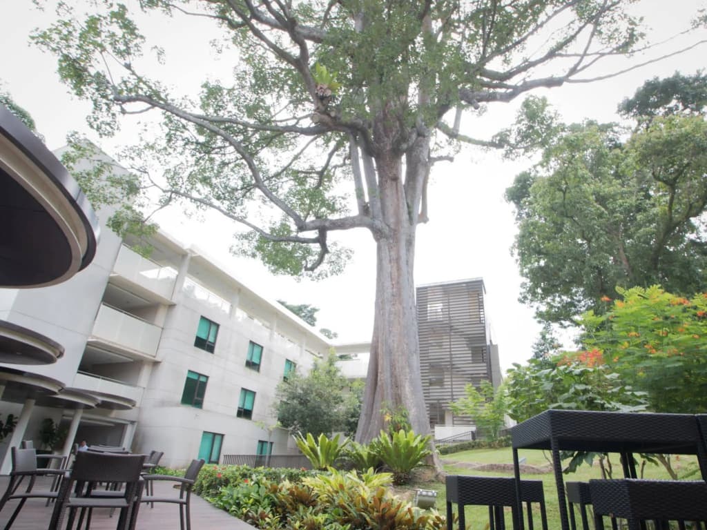Changi Cove - photo 27