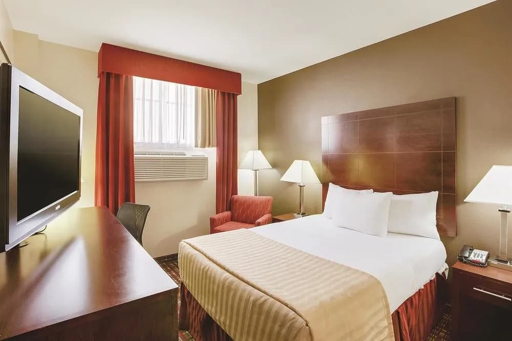 La Quinta Inn & Suites JFK Airport - photo 5