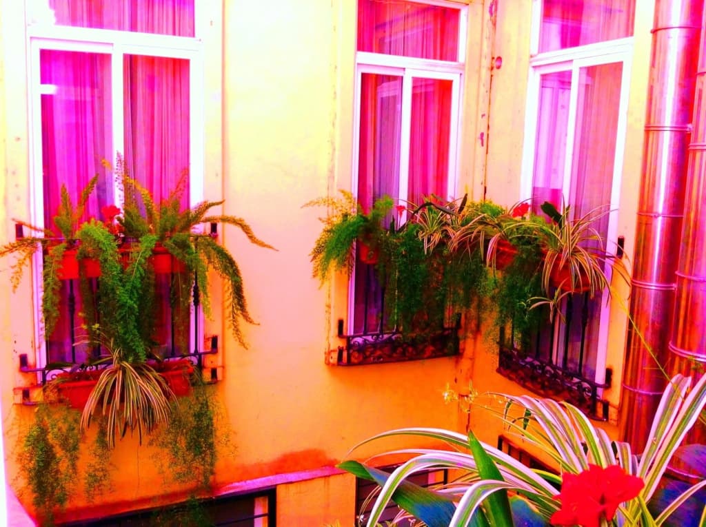 Hostal La Fontana - photo 15