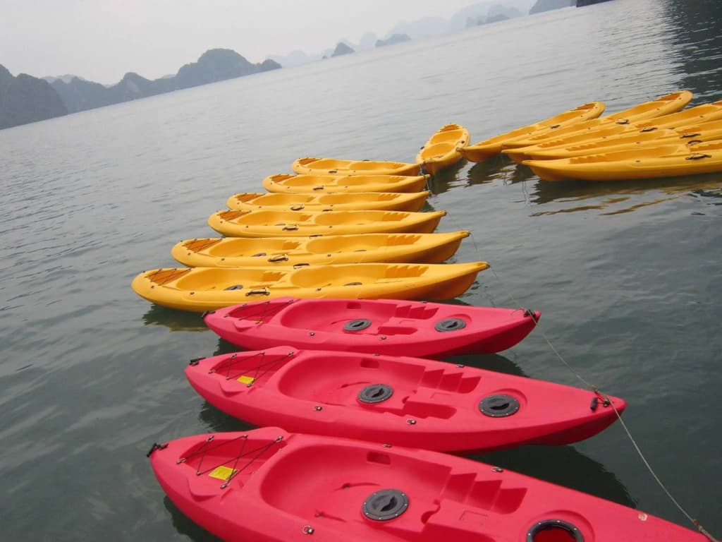 Phoenix Luxury Cruise Halong - photo 15