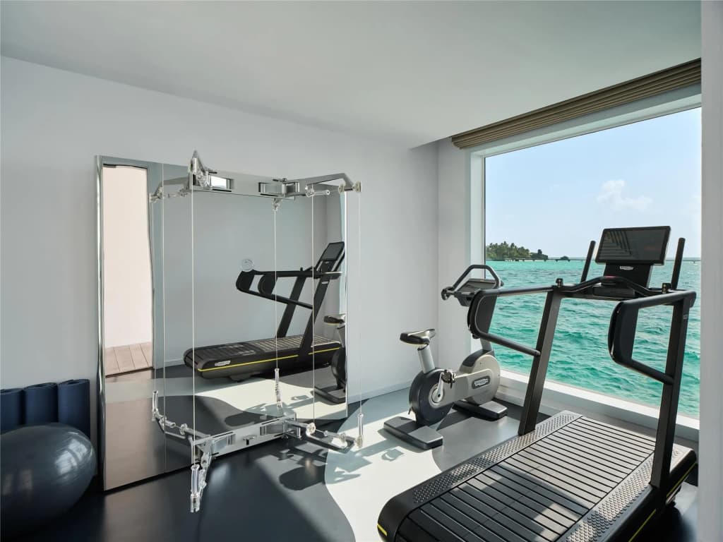 Conrad Maldives Rangali Island Resort - photo 29