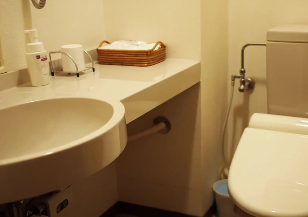 Tokiwa Hotel - photo 8