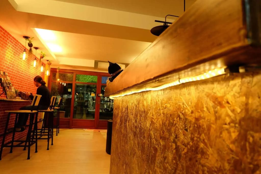 Fellow Hostel - photo 21