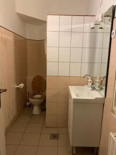 Black Dog Hostel - photo 8