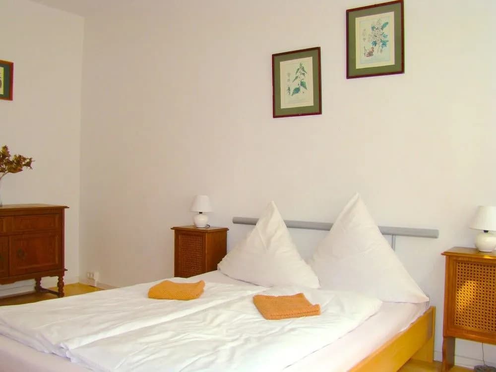 BNB near Brandenburg Gate - photo 5