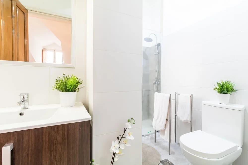 Duplex La Latina City Center - photo 8