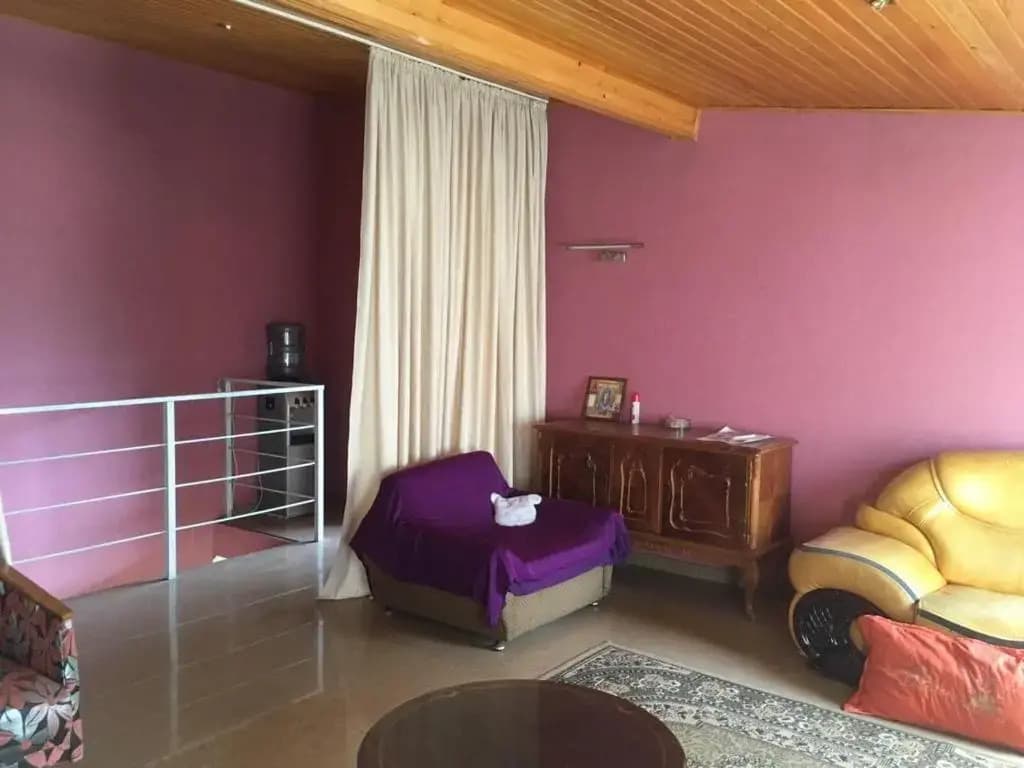 Guest House Vedzisi - photo 8