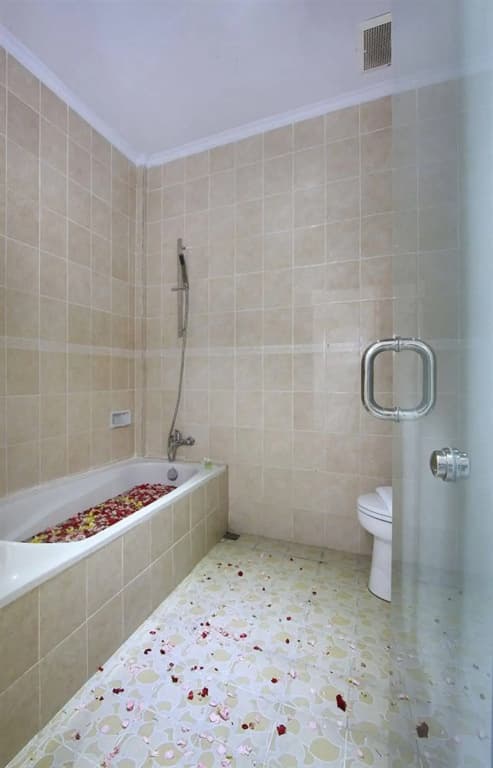 Kubu Anyar Hotel - photo 11