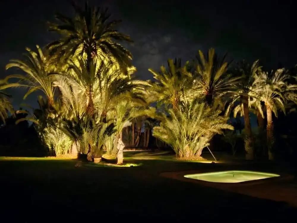 Palmeraie Villa in Marrakech - photo 11