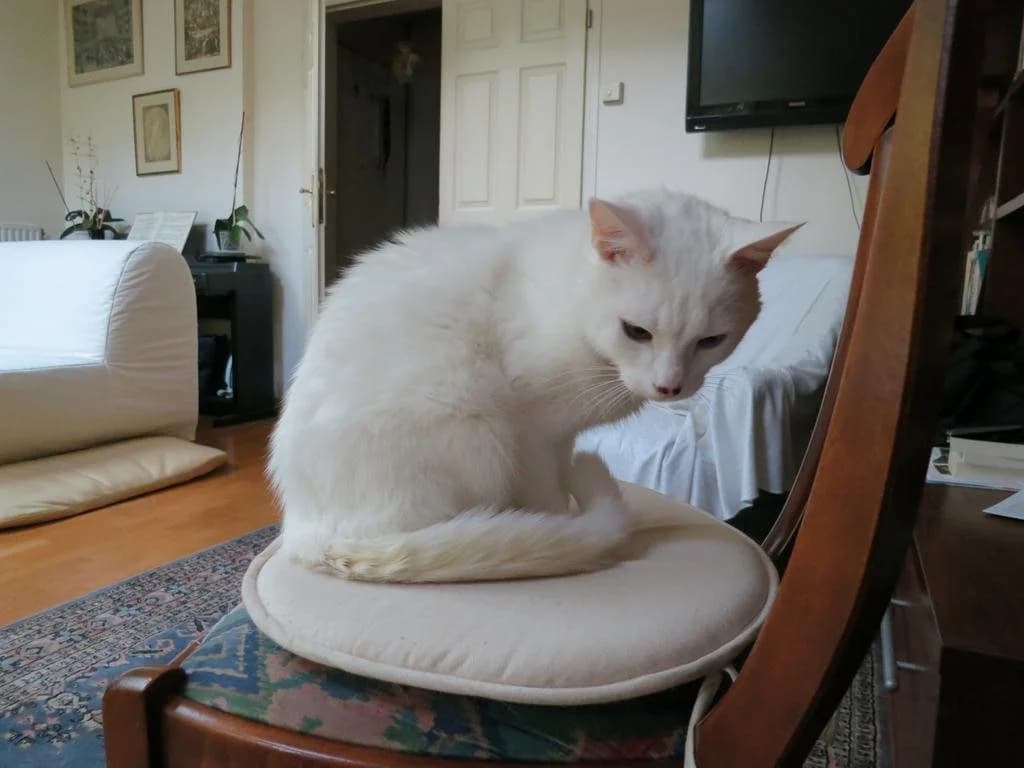 Bed and Breakfast Bolero - photo 3