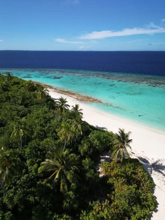 Suncoral Maldives - photo 8