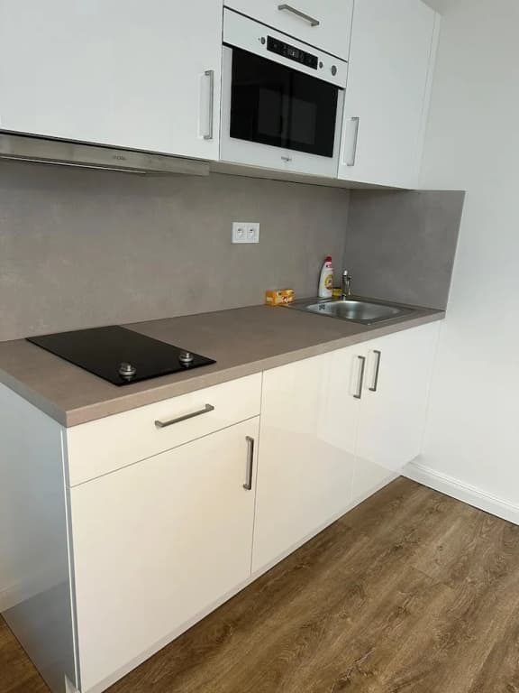 1 Br Apartment at Prague 1 - photo 13