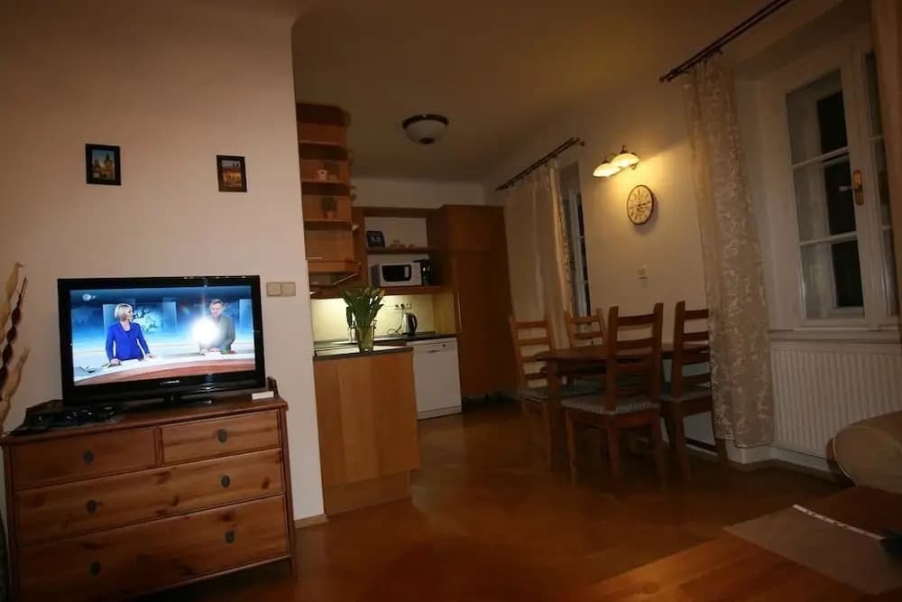 Apartment Stare Mesto Anenska - photo 4