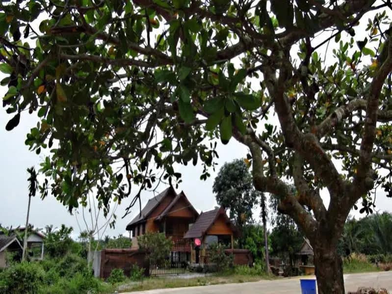 Baan Tu - main photo