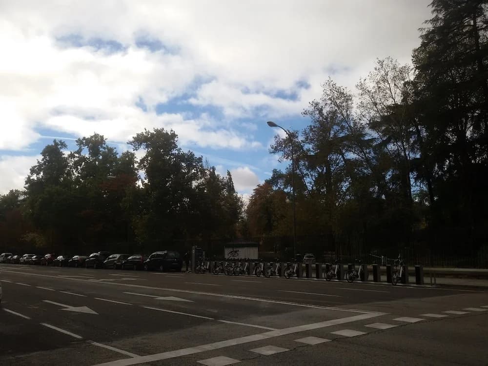 Parque del Retiro-Puerta de Alcala - photo 14