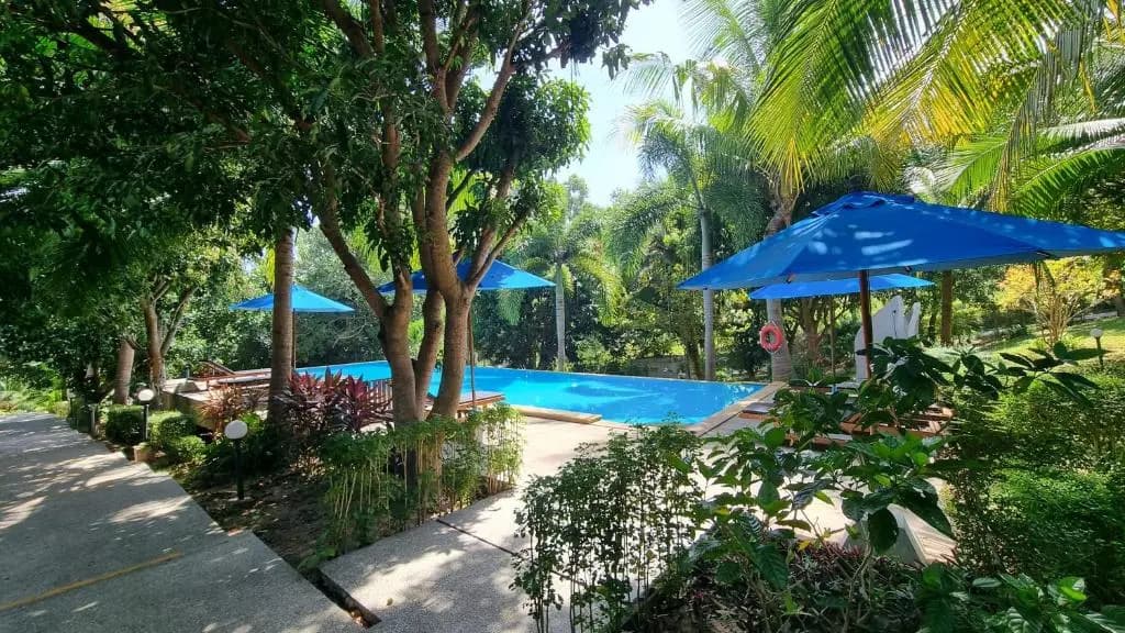 PawPaw Resort - photo 13
