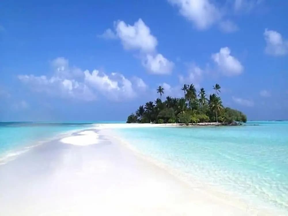 Beach Cottage - photo 17