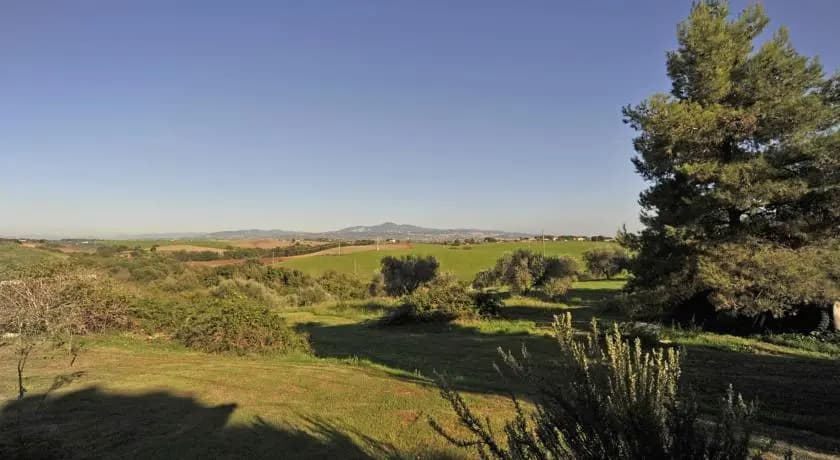 Tenuta Donna Olimpia - photo 7
