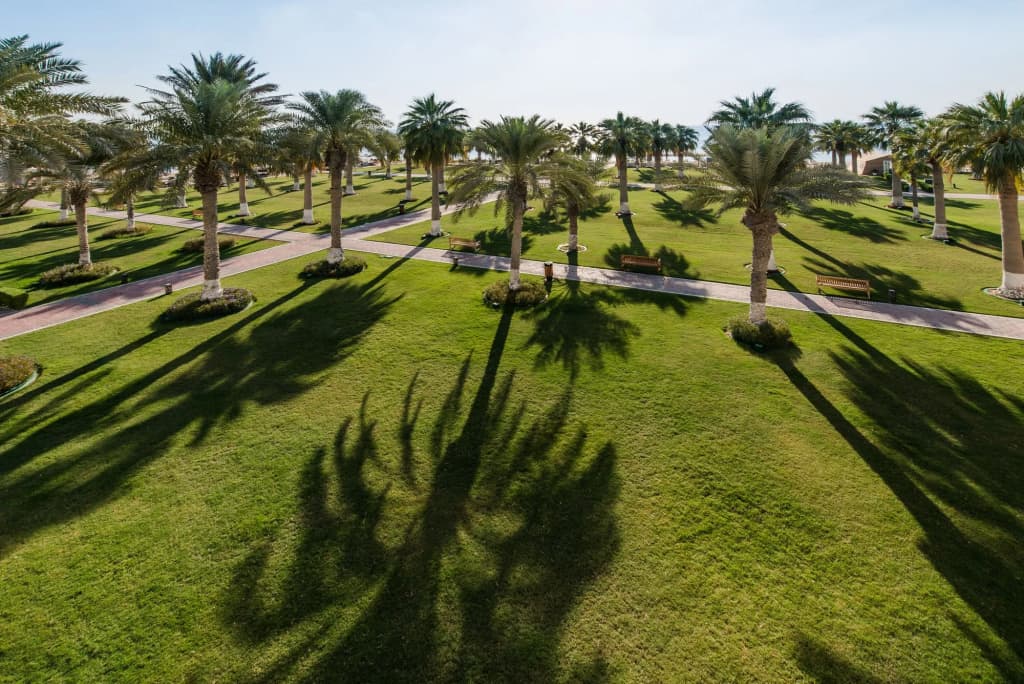 Sealine Beach - a Murwab Resort - photo 25