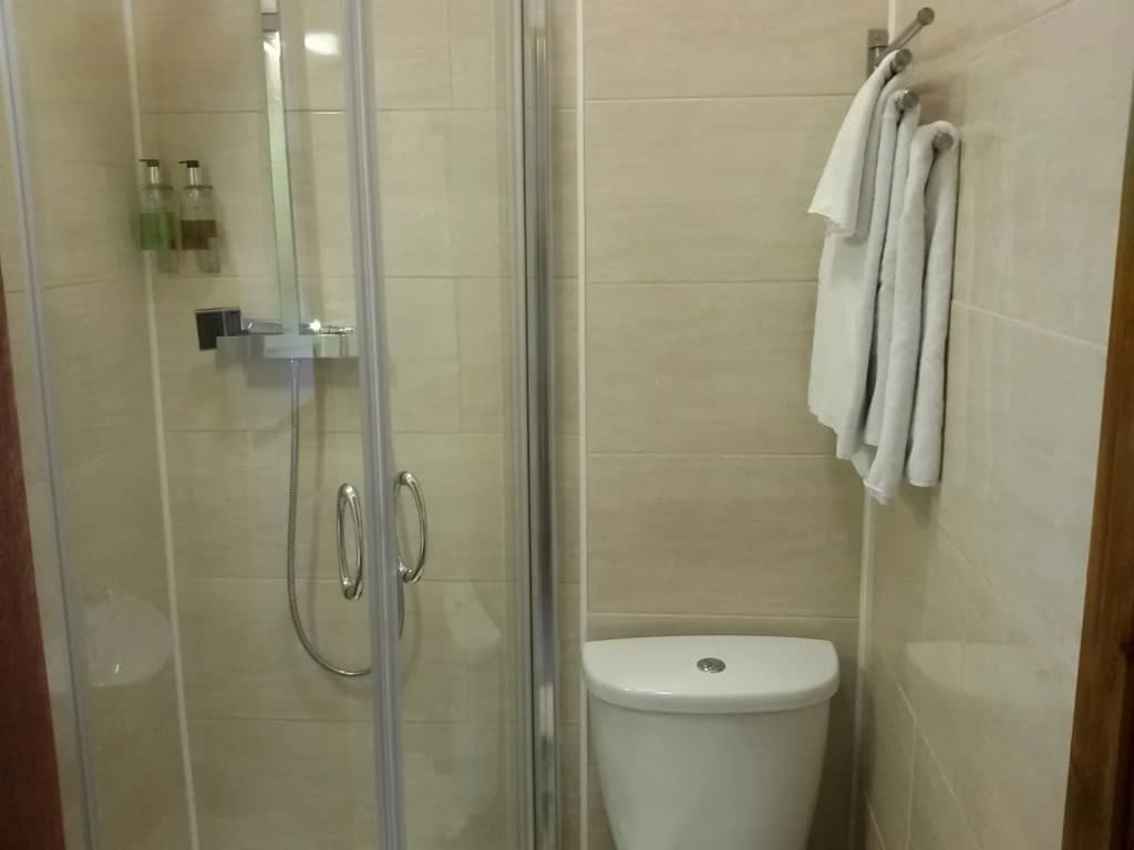 Adelphi Hotel - photo 9