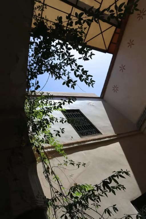 Riad a Marrakech en Exclusivité a 100 Euros - photo 2