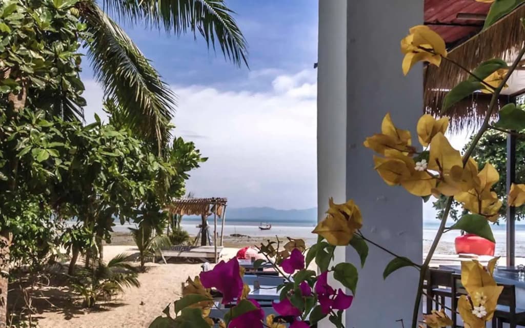 Dancing Elephant Beach Club - Hostel - photo 16