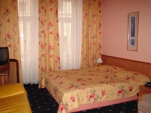 Hotel Aladin - photo 4