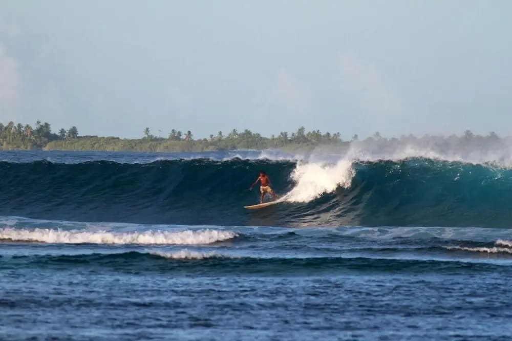 Serene Blue Bowls Surf Inn - photo 11