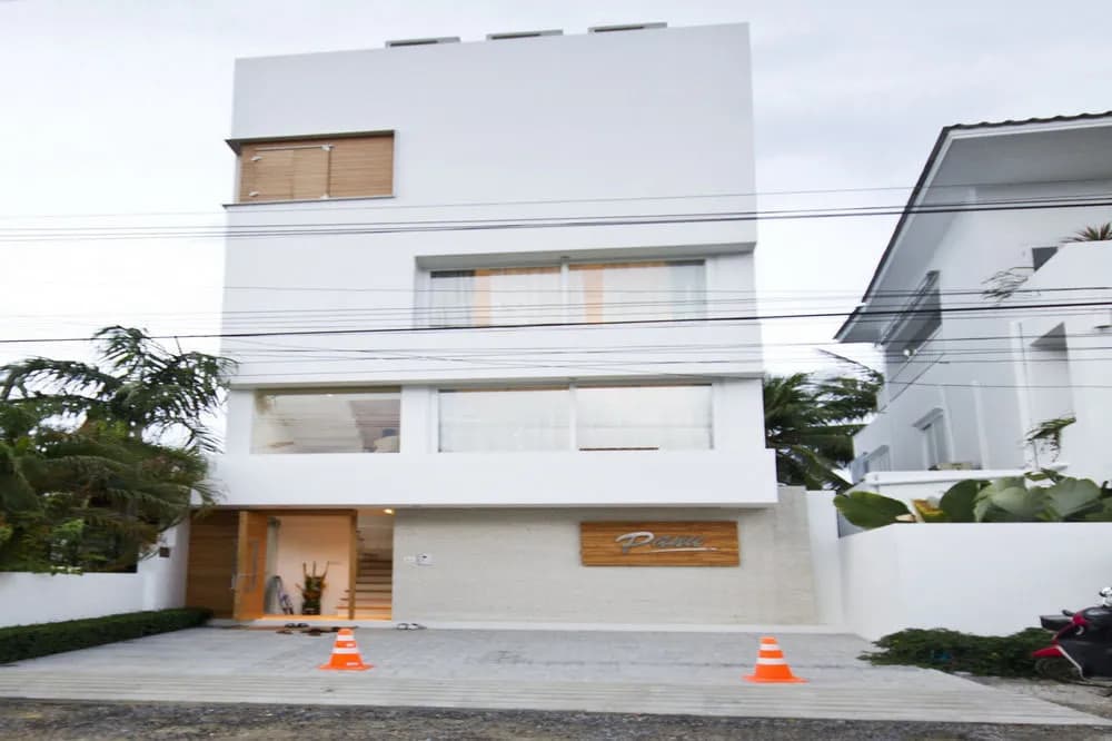 Panu - main photo
