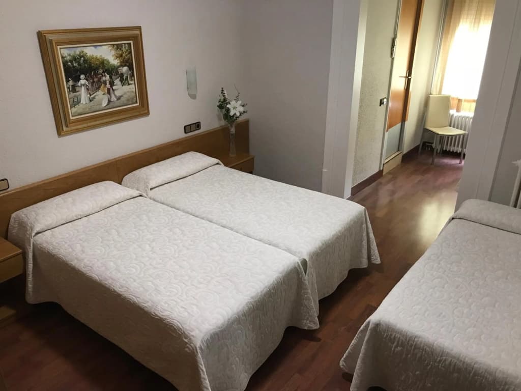 Hotel Pelayo - photo 11