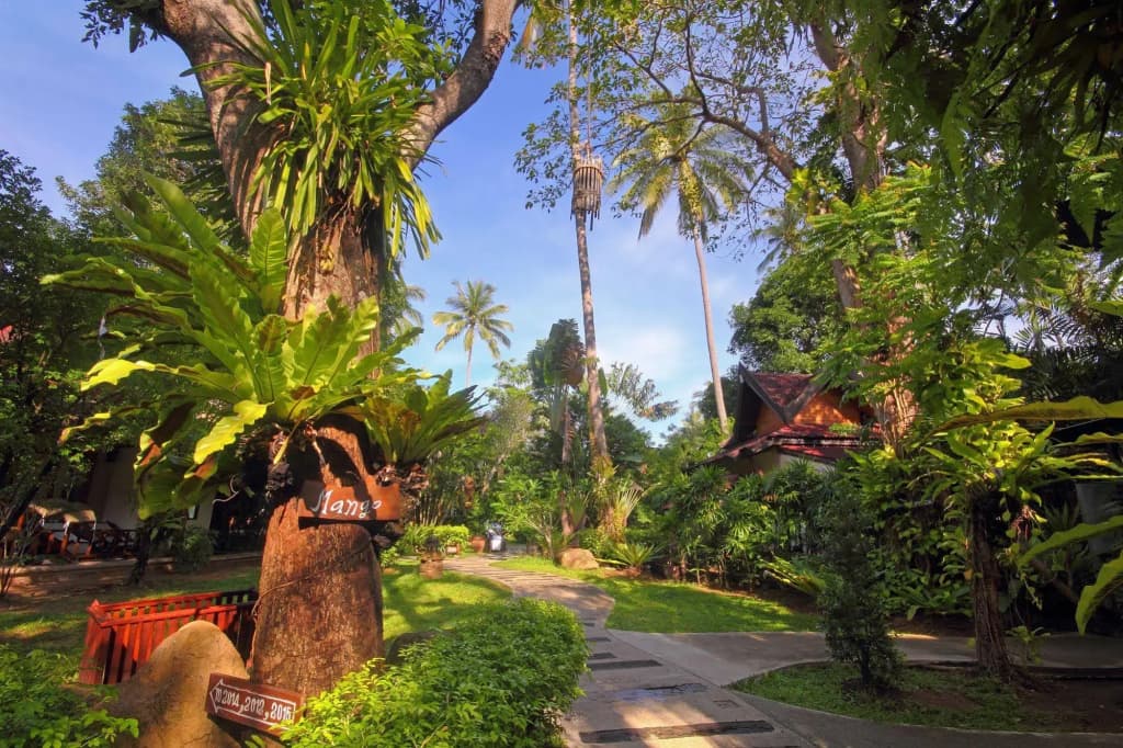 Sunrise Tropical Resort - photo 20