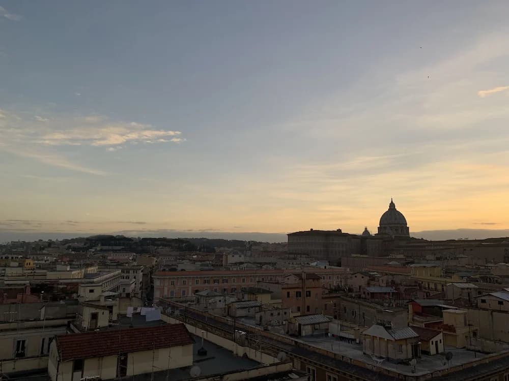 Vatican Fox - photo 12
