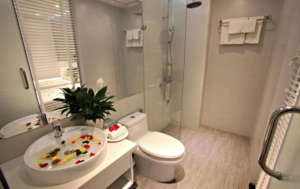 Hanoi Ping Luxury Hotel - photo 9