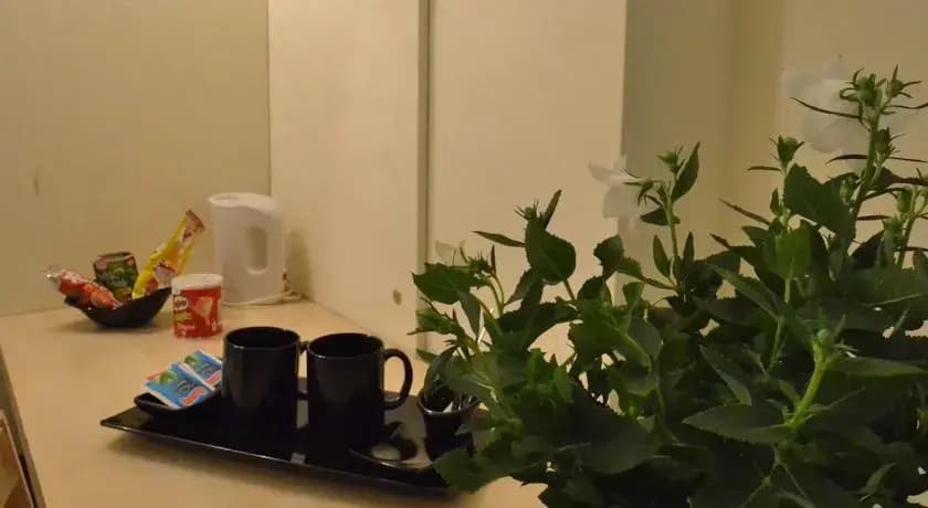 Quo Vadis Guest House - photo 8