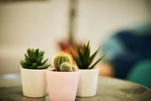 Cozy Stylish Flat by Vaci Street - photo 9